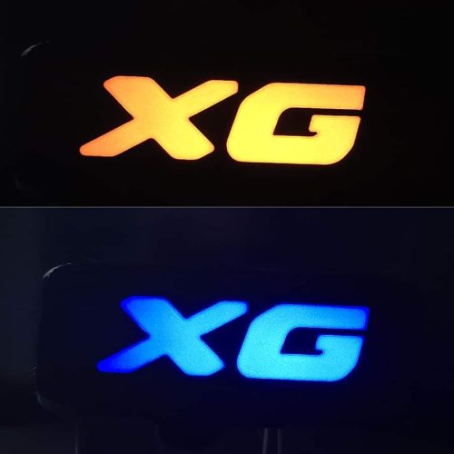 xg