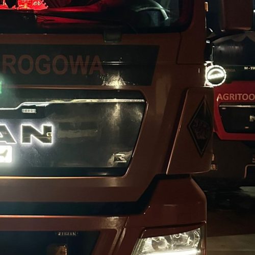 oreilles sous miroirs